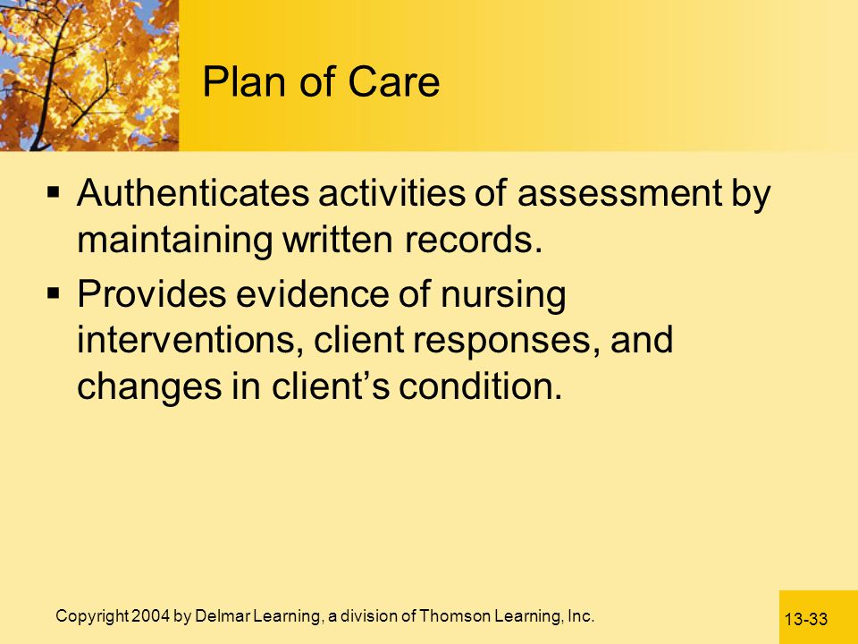 Plan of Care Authenticates activities of assessment by maintaining written records.
