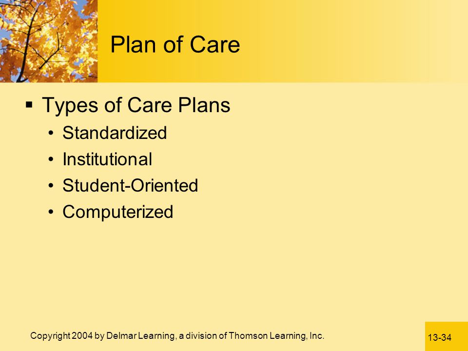 Plan of Care Types of Care Plans Standardized Institutional