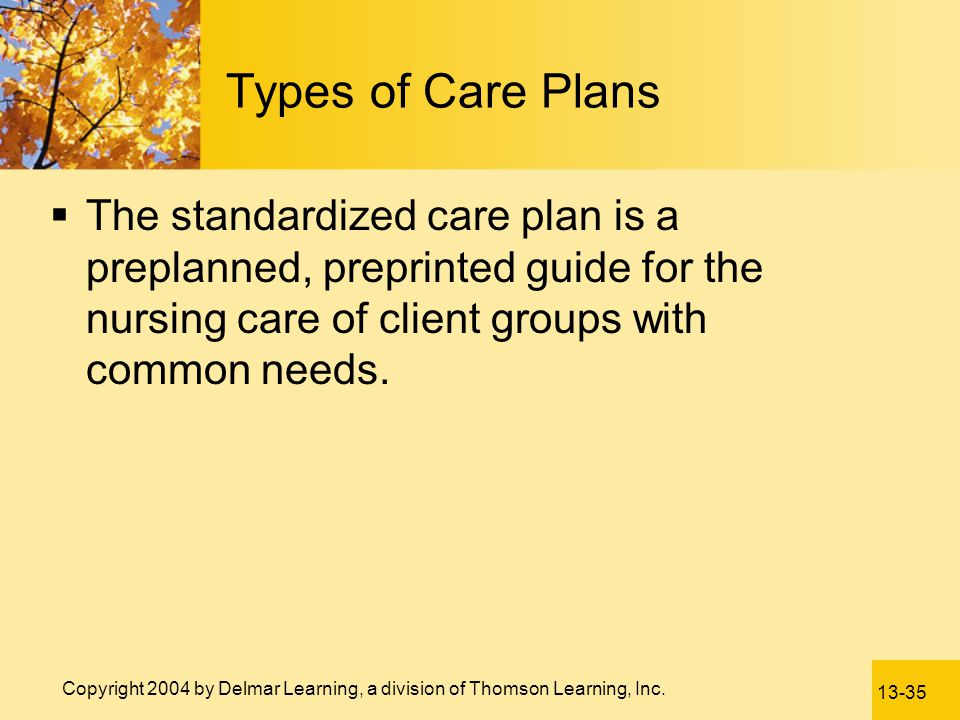 Types of Care Plans The standardized care plan is a preplanned, preprinted guide for the nursing care of client groups with common needs.