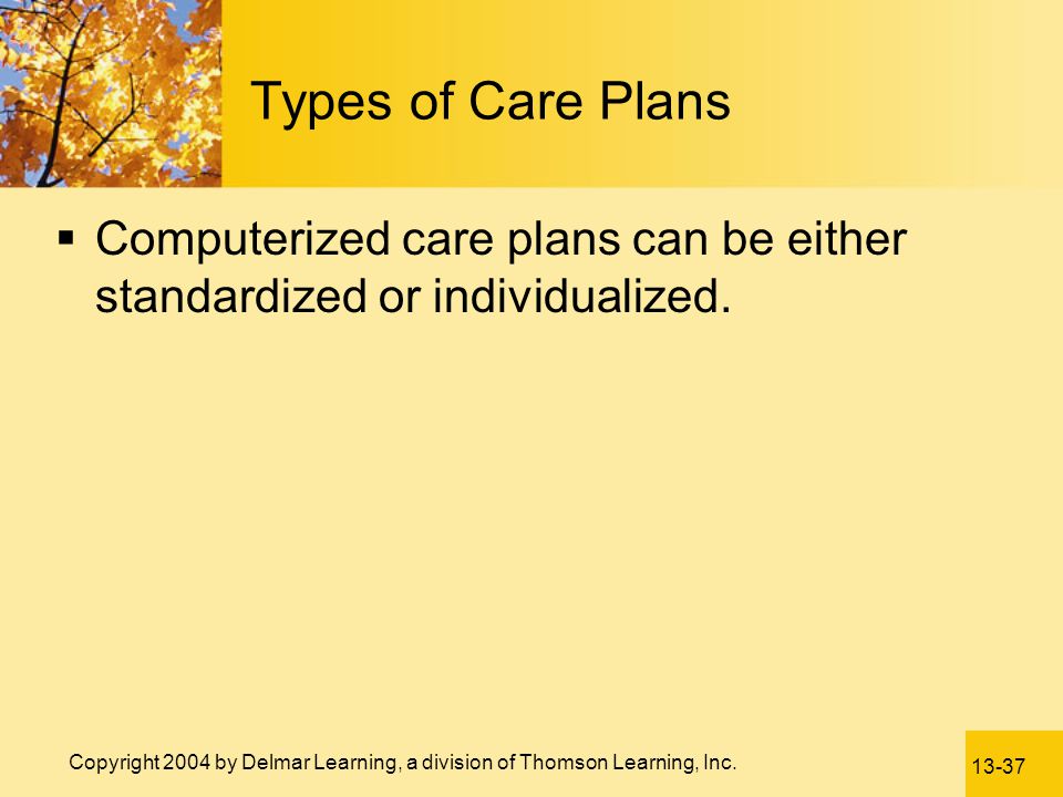 Types of Care Plans Computerized care plans can be either standardized or individualized.