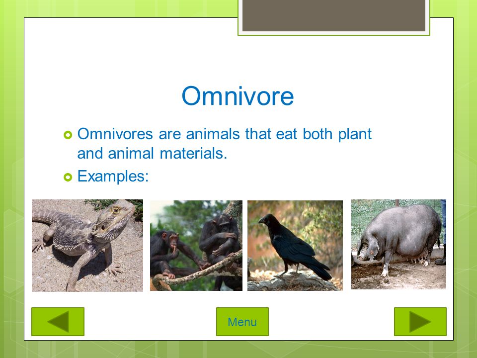 How Food Works in Nature - ppt video online download