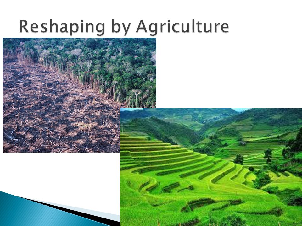 Reshaping by Agriculture