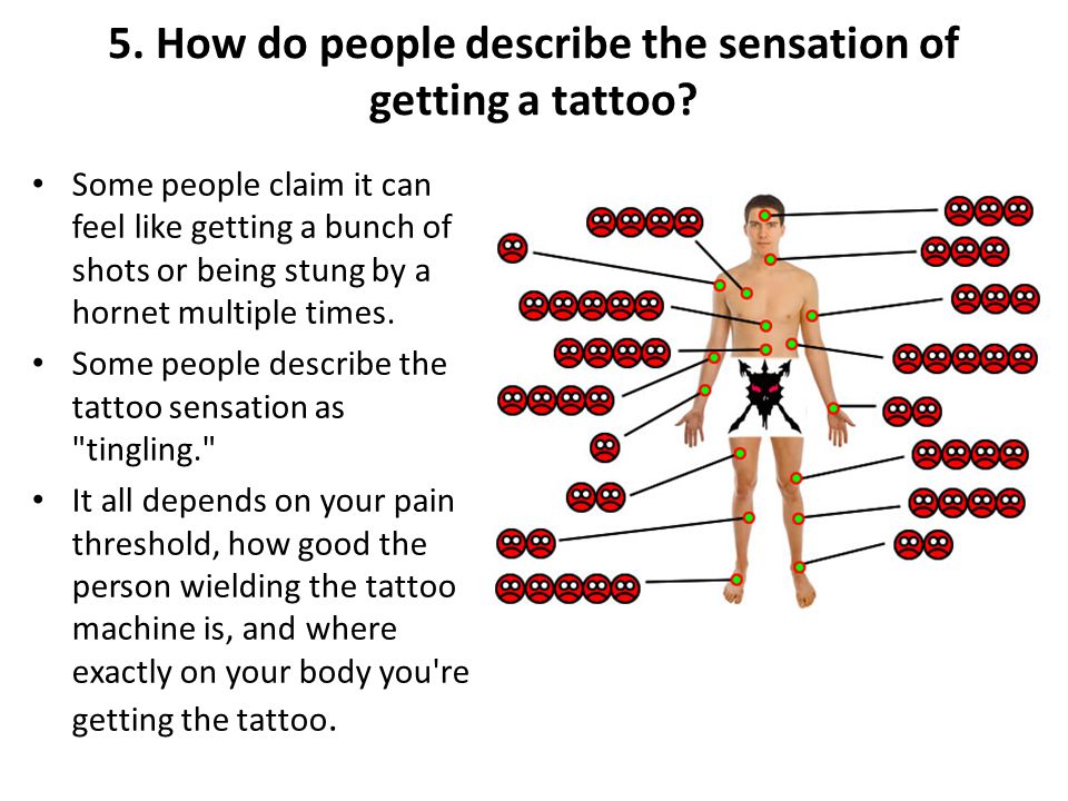 Human Biology S. Dosman All About Tattoos. - ppt video online download