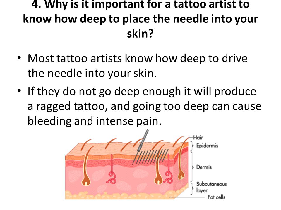 Human Biology S Dosman All About Tattoos Ppt Video Online Download
