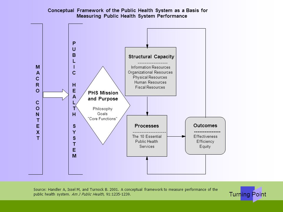 Conceptual Framework of the Public Health System as a Basis for
