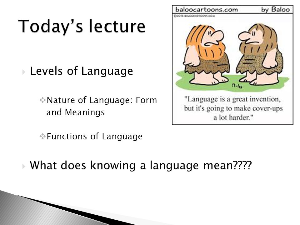 Today’s lecture Levels of Language