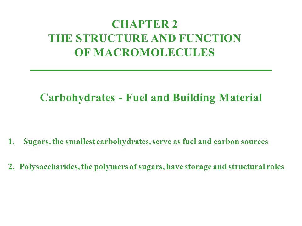 CHAPTER 2 THE STRUCTURE AND FUNCTION OF MACROMOLECULES