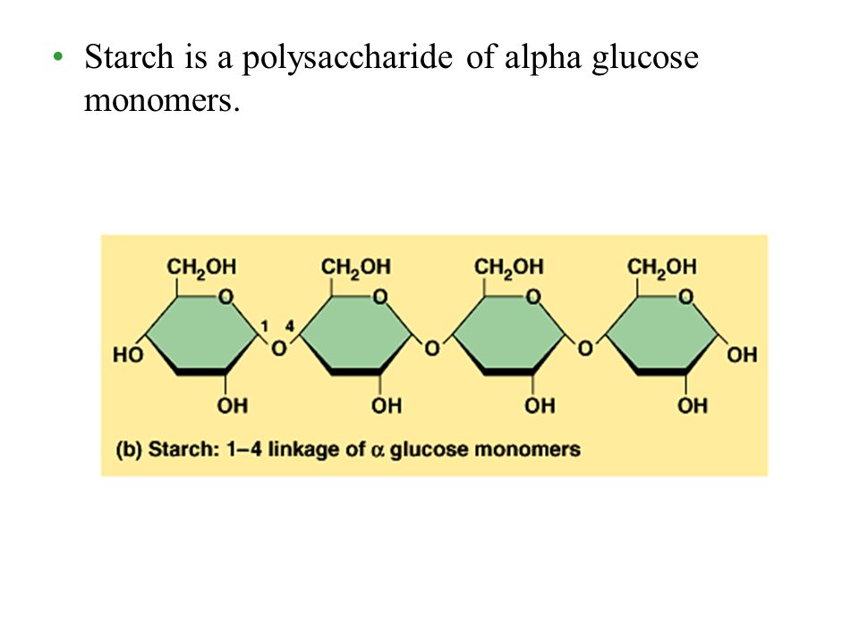 Starch is a polysaccharide of alpha glucose monomers.