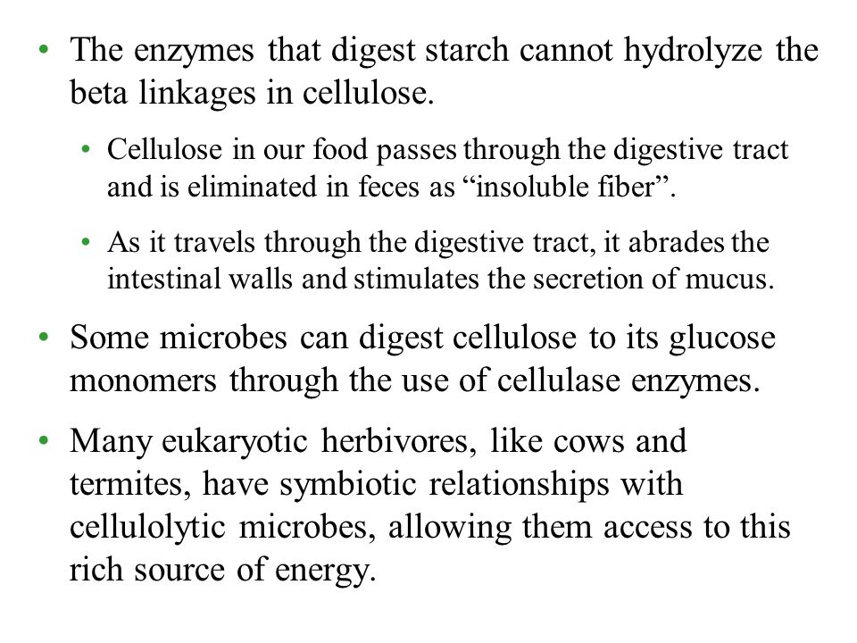 The enzymes that digest starch cannot hydrolyze the beta linkages in cellulose.