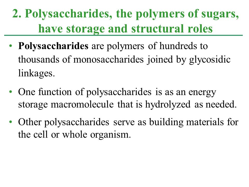2. Polysaccharides, the polymers of sugars, have storage and structural roles