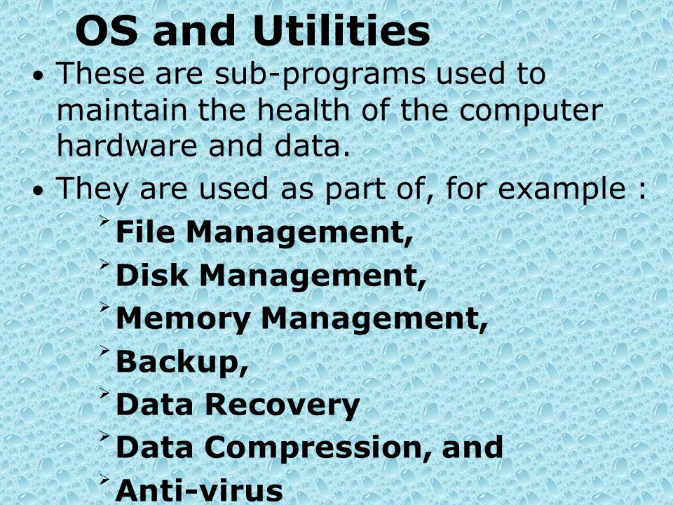 OS and Utilities These are sub-programs used to maintain the health of the computer hardware and data.