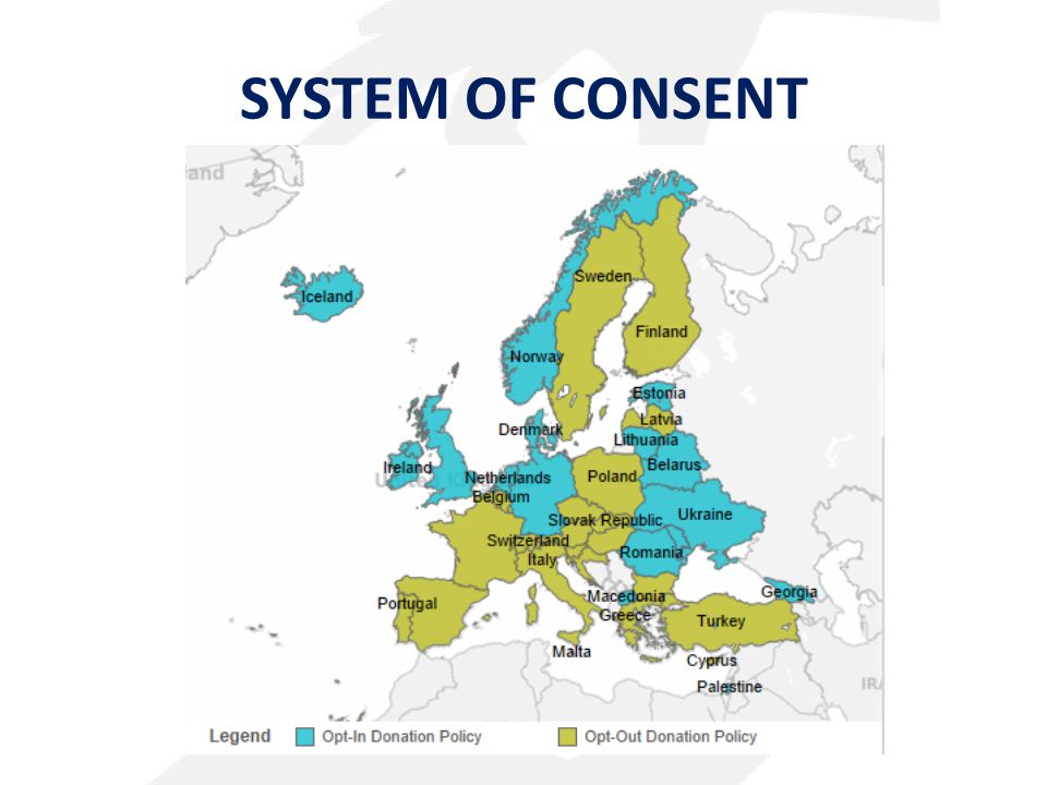 SYSTEM OF CONSENT