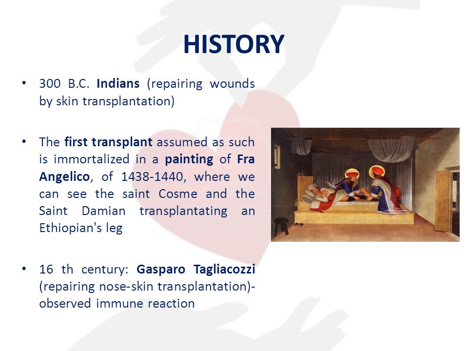 HISTORY 300 B.C. Indians (repairing wounds by skin transplantation)
