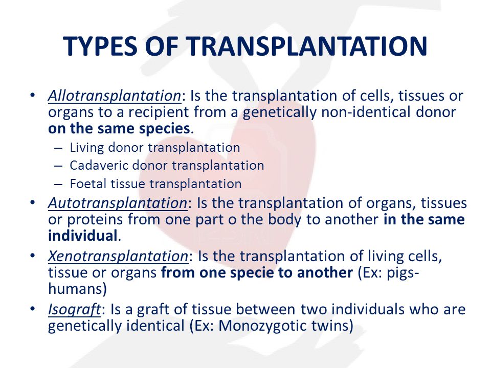 TYPES OF TRANSPLANTATION