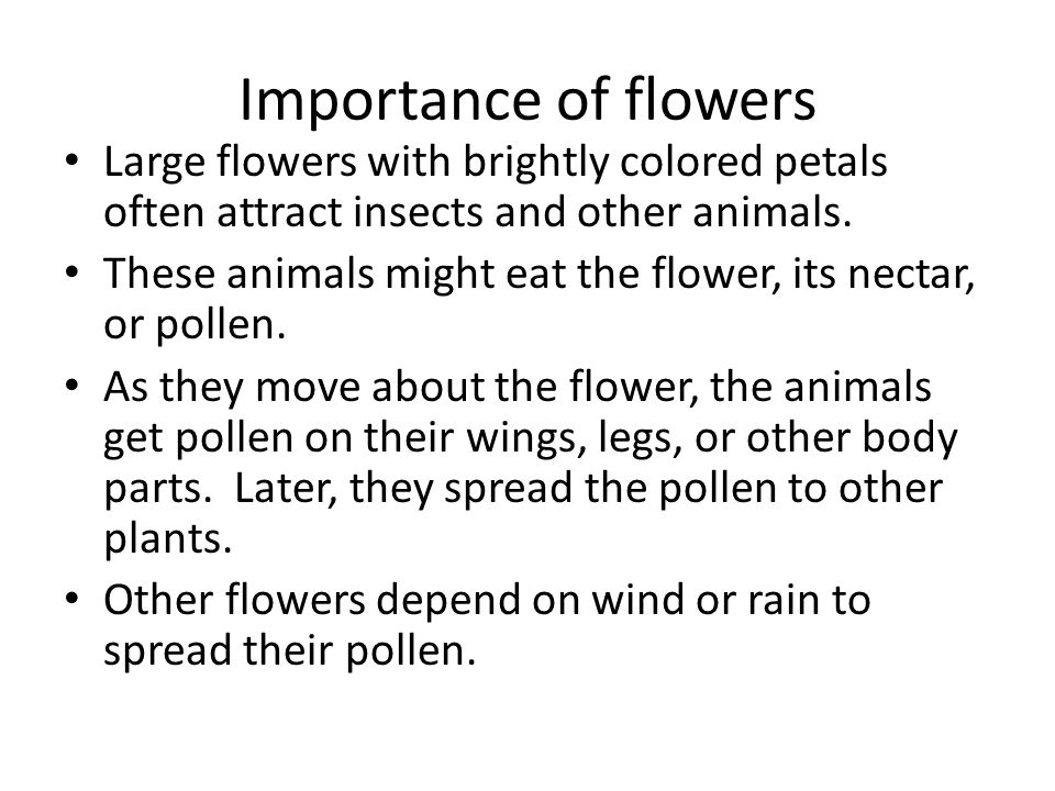 Importance of flowers Large flowers with brightly colored petals often attract insects and other animals.