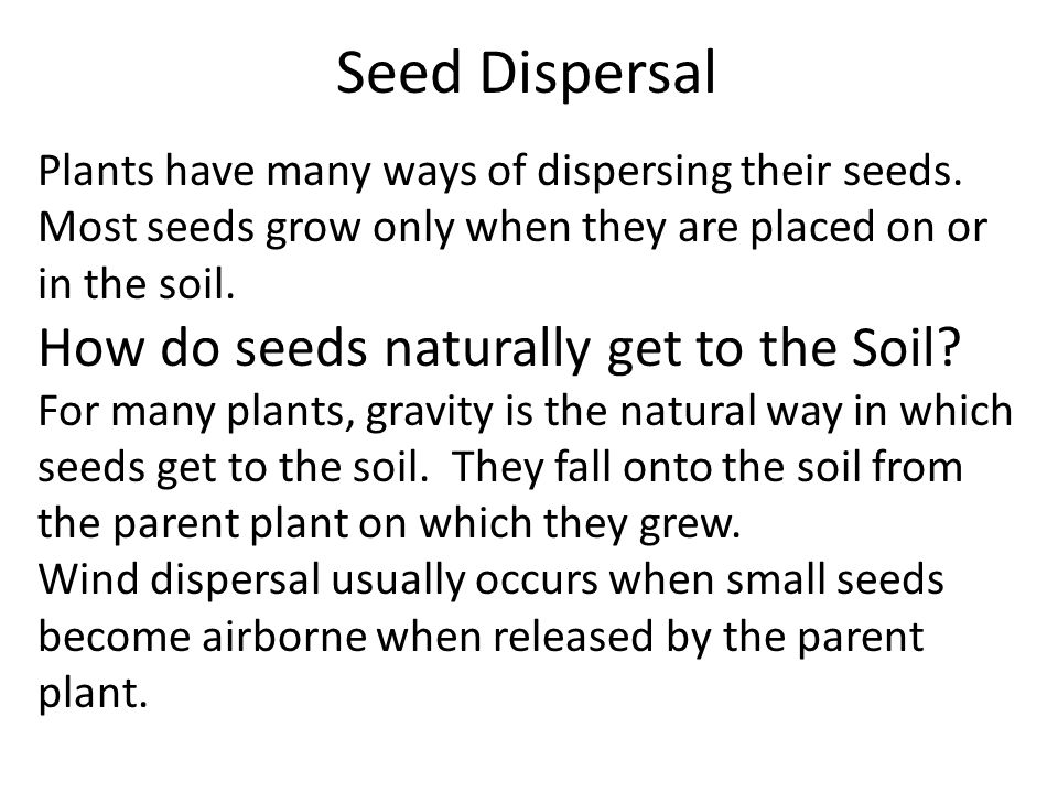 How do seeds naturally get to the Soil