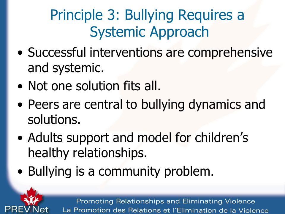 Principle 3: Bullying Requires a Systemic Approach