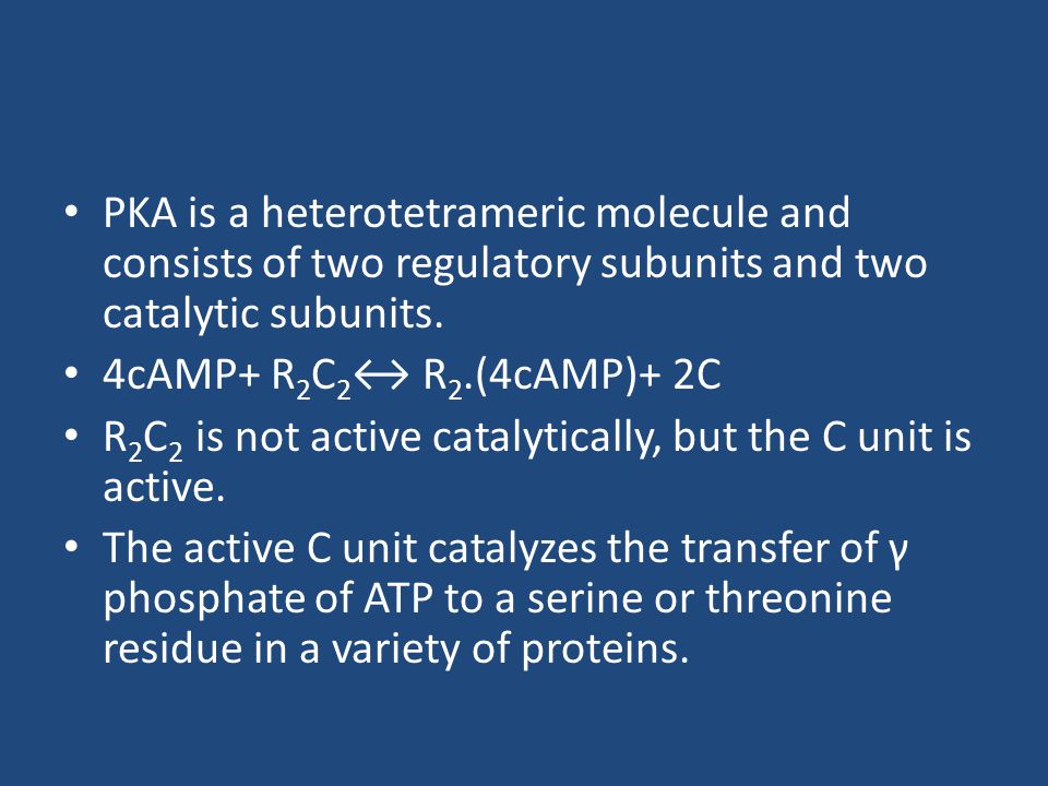 PKA is a heterotetrameric molecule and consists of two regulatory subunits and two catalytic subunits.