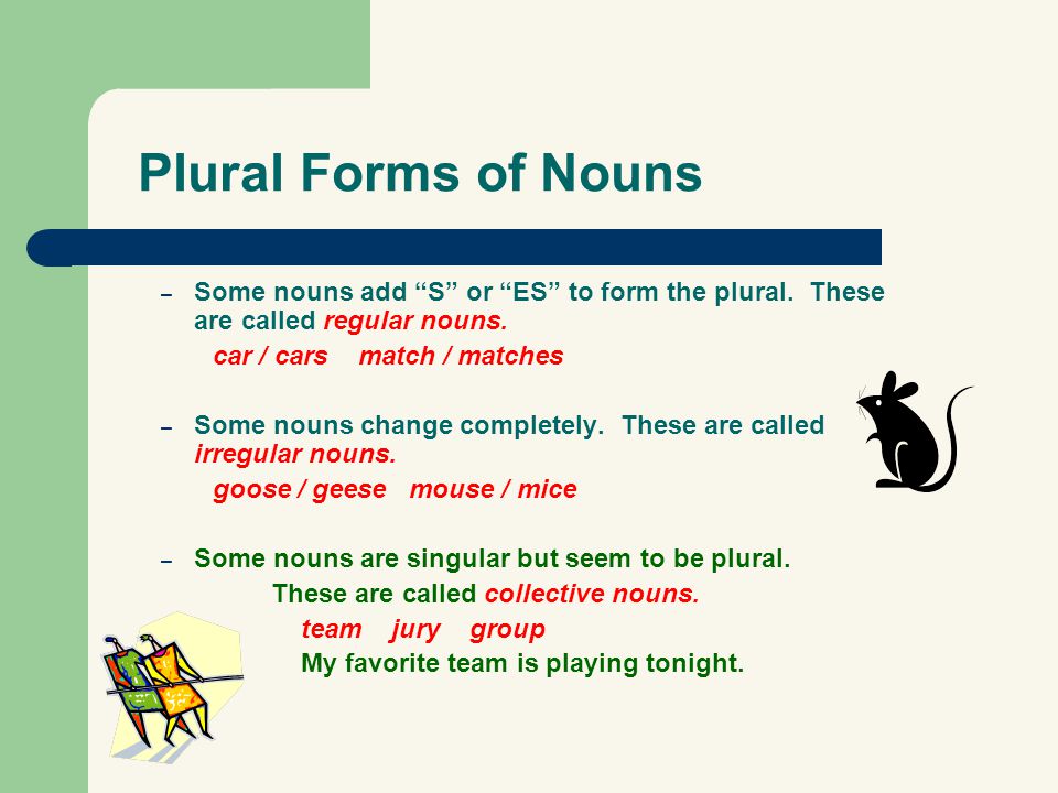Plural Forms of Nouns Some nouns add S or ES to form the plural. These are called regular nouns.