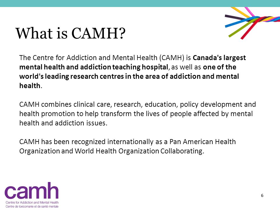 Camh Organizational Chart