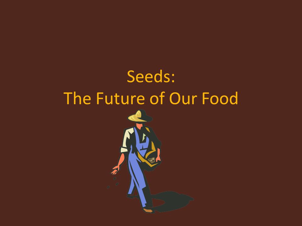Seeds: The Future of Our Food