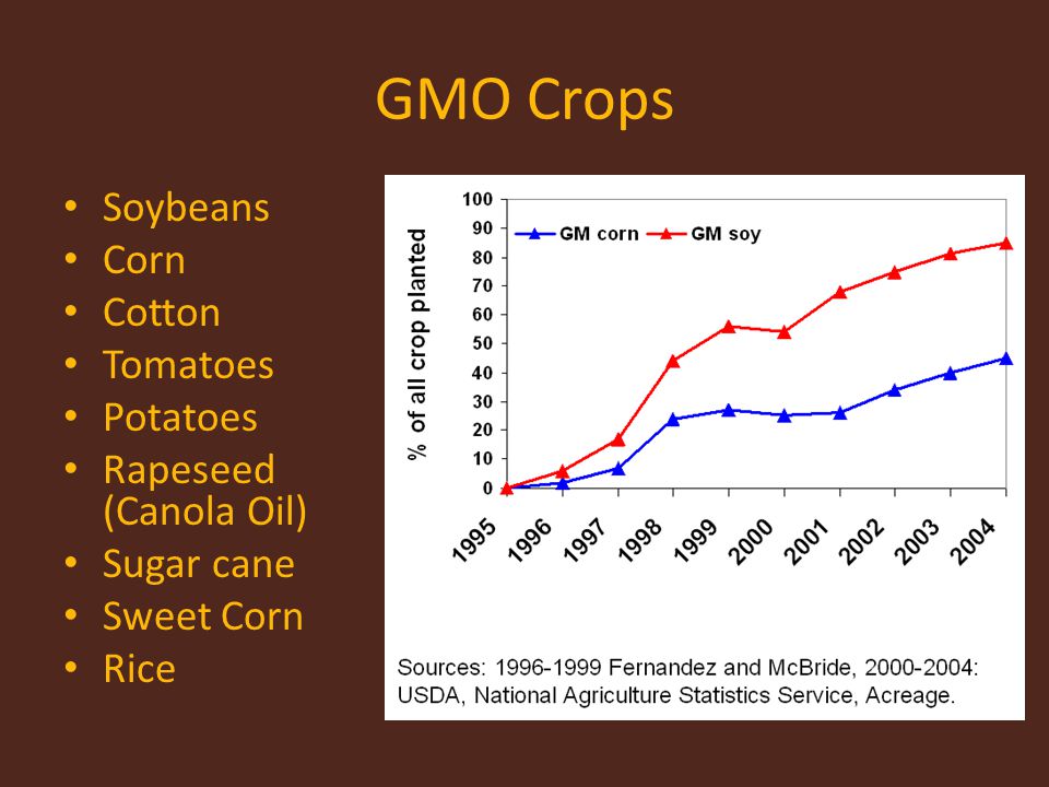 GMO Crops Soybeans Corn Cotton Tomatoes Potatoes Rapeseed (Canola Oil)
