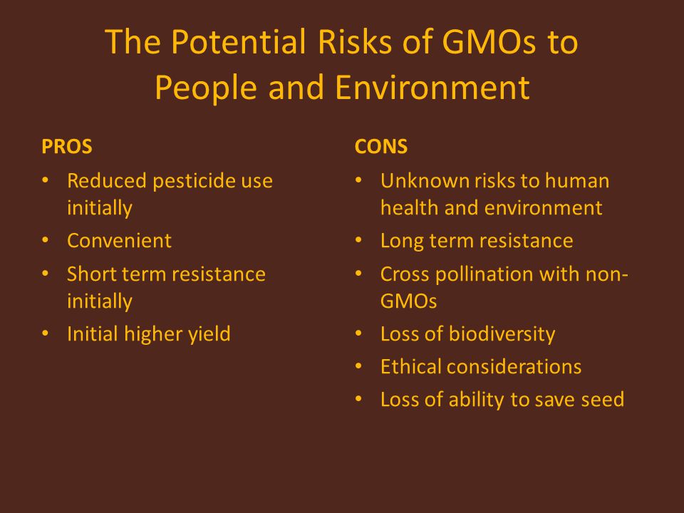 The Potential Risks of GMOs to People and Environment