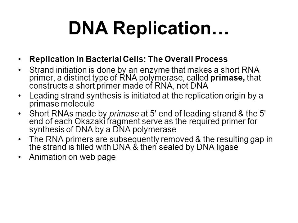 Chapter 13: DNA Replication and Repair - ppt download