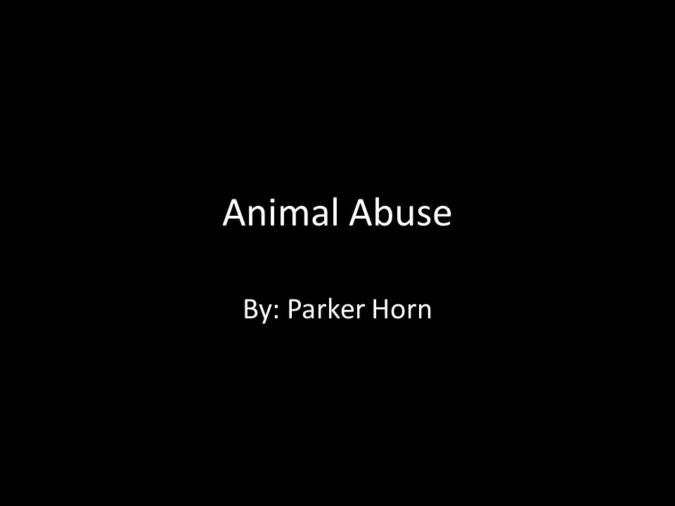 Animal Abuse By: Parker Horn