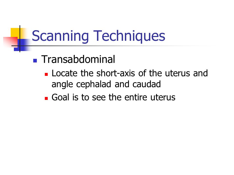 Scanning Techniques Transabdominal