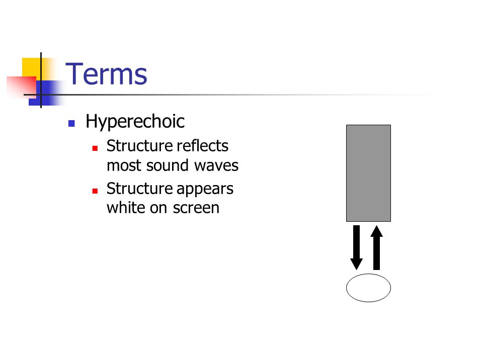 Terms Hyperechoic Structure reflects most sound waves