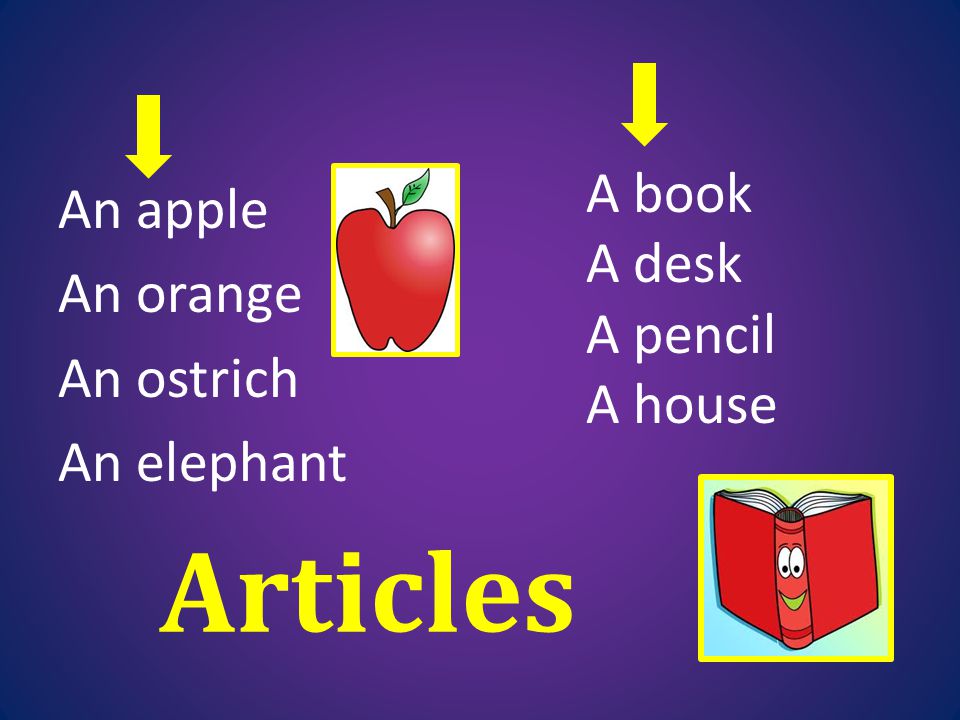 Articles A book An apple An orange An ostrich An elephant A desk