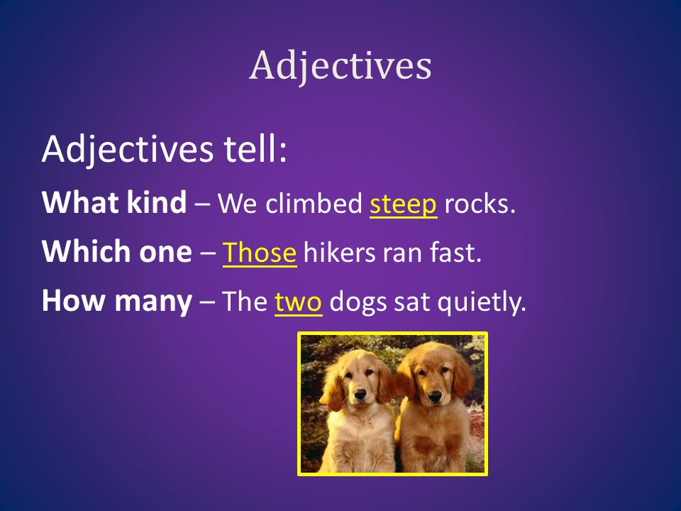 Adjectives Adjectives tell: What kind – We climbed steep rocks.