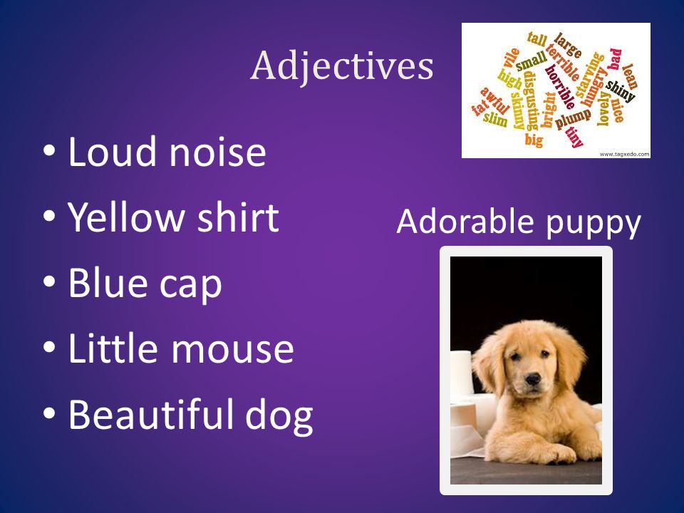 Loud noise Yellow shirt Blue cap Little mouse Beautiful dog Adjectives