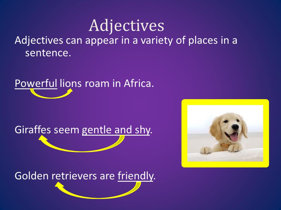 Adjectives Adjectives can appear in a variety of places in a sentence.
