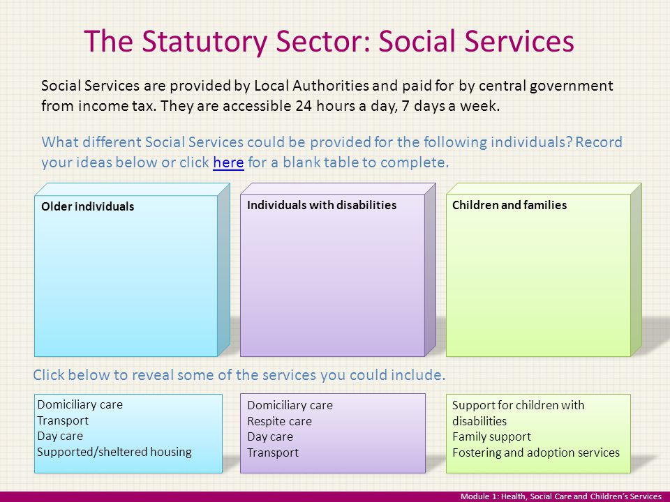 The Statutory Sector: Social Services