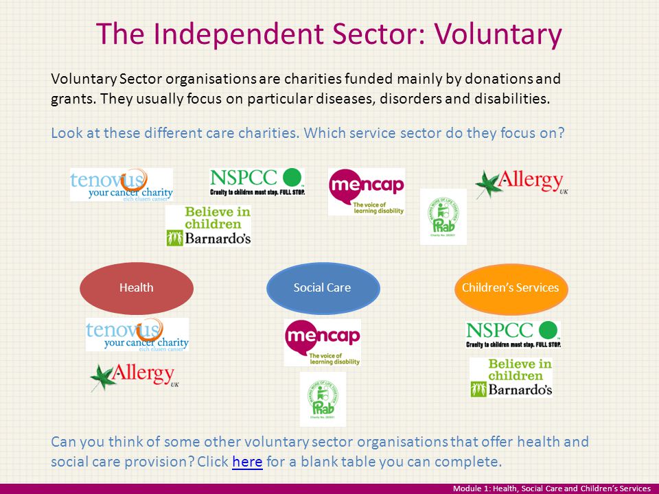 The Independent Sector: Voluntary