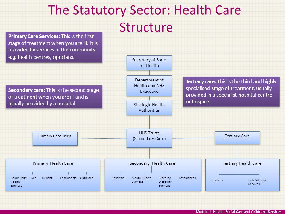 The Statutory Sector: Health Care Structure