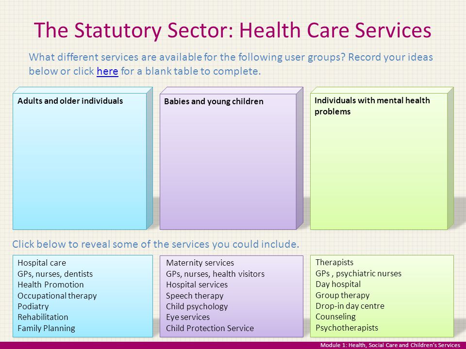 The Statutory Sector: Health Care Services