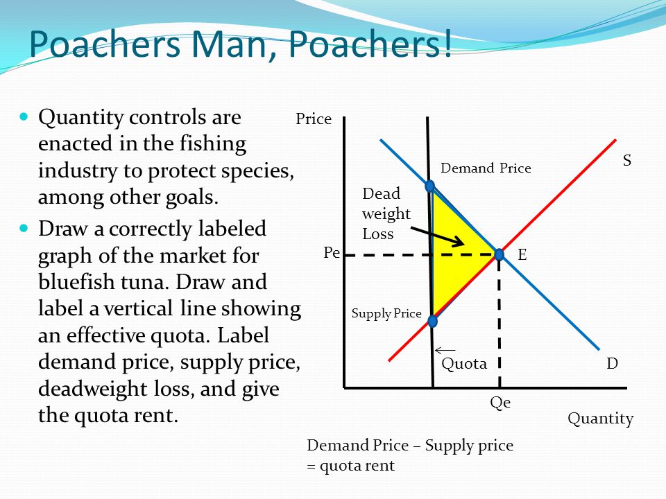 Poachers+Man%2C+Poachers%21+Quantity+controls+are+enacted+in+the+fishing+industry+to+protect+species%2C+among+other+goals.
