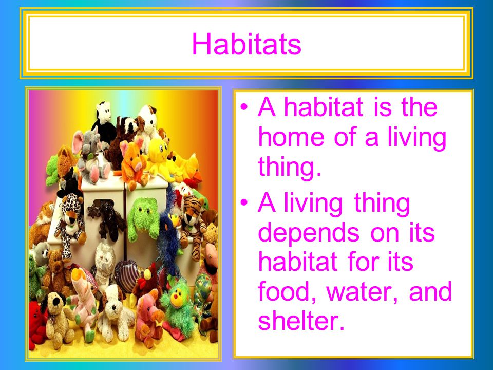 Habitats A habitat is the home of a living thing.