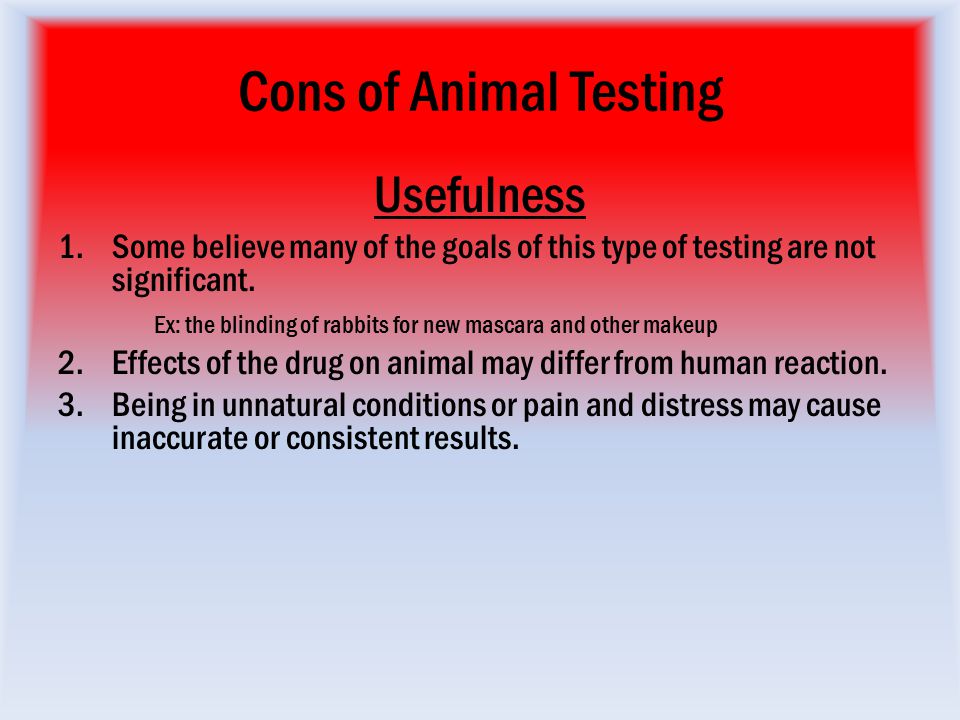 Animal Testing Animal Testing - ppt video online download