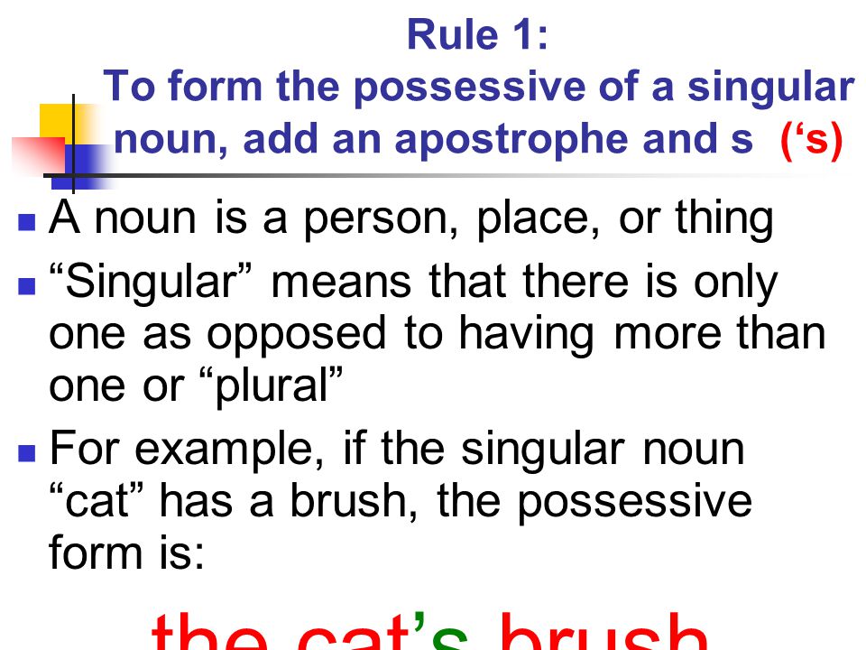the cat’s brush A noun is a person, place, or thing