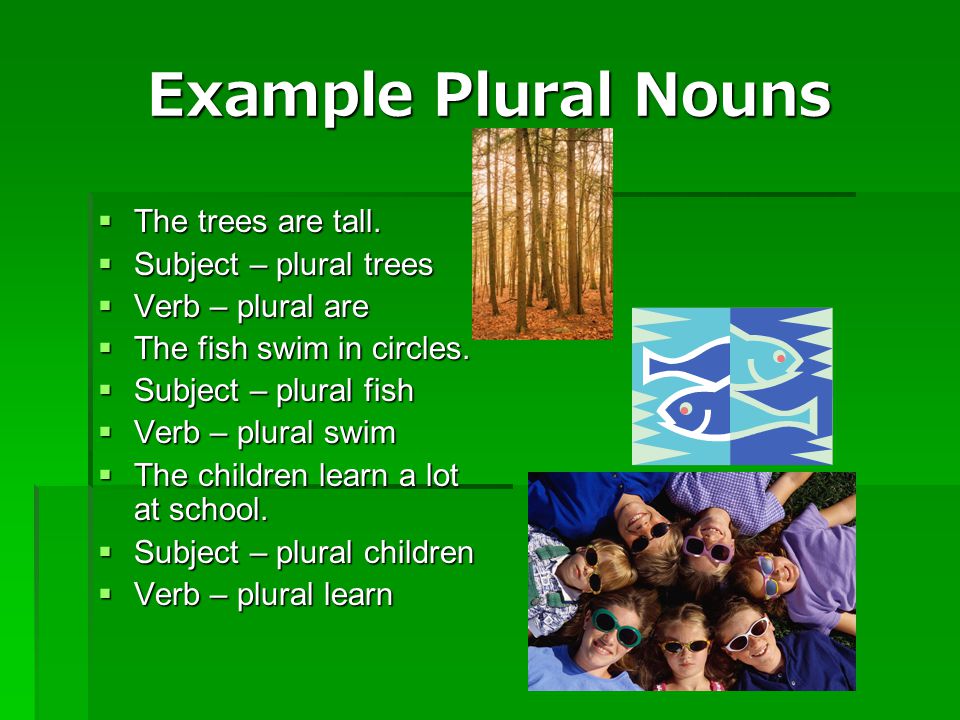 Example Plural Nouns The trees are tall. Subject – plural trees