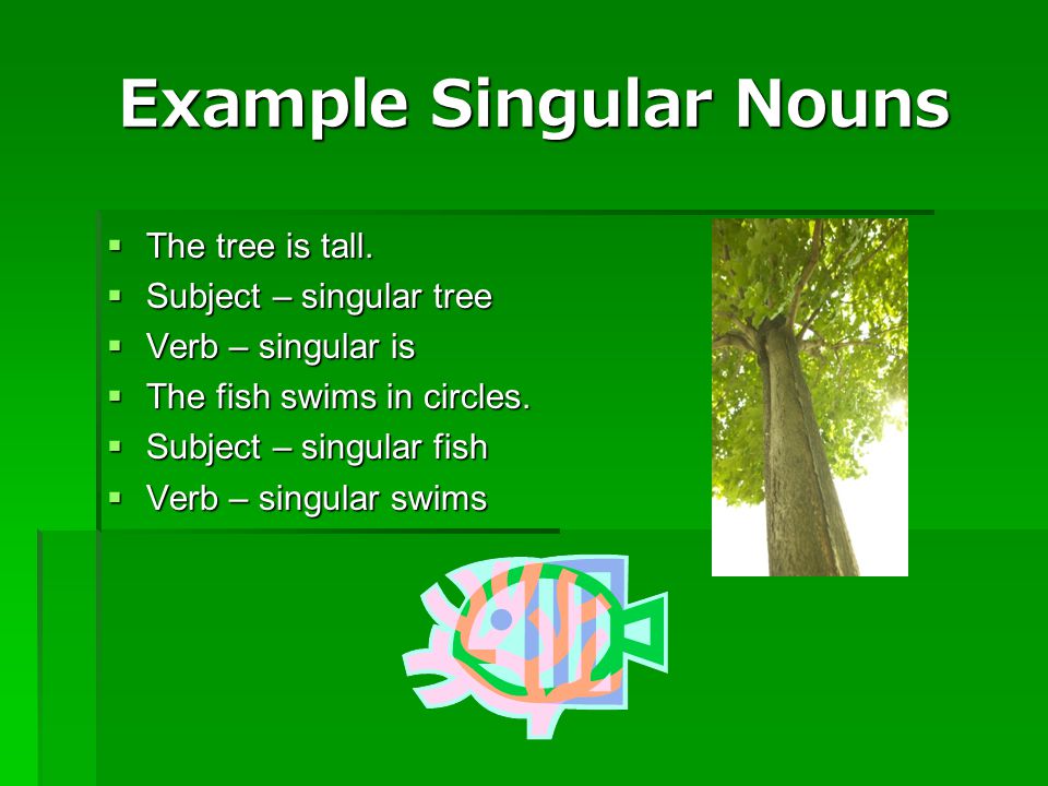 Example Singular Nouns