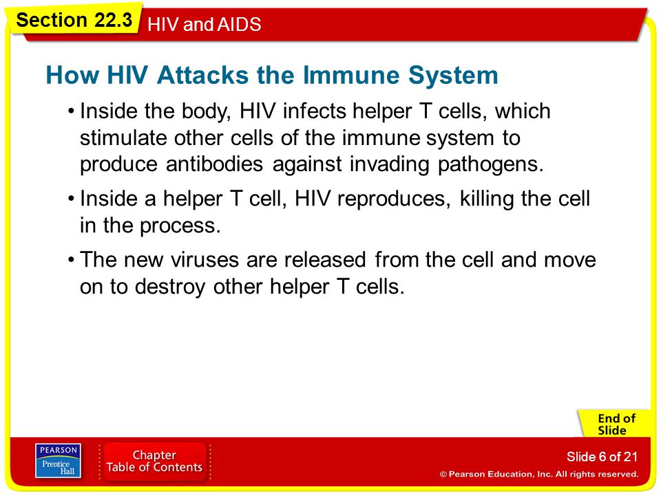 How HIV Attacks the Immune System