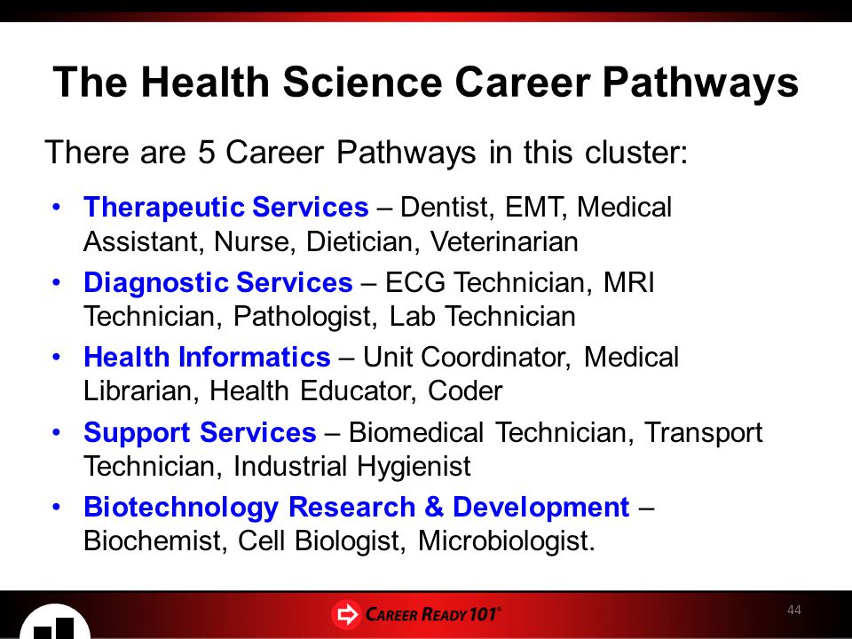 Health science career cluster