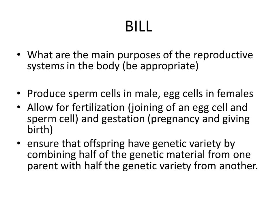 BILL What are the main purposes of the reproductive systems in the body (be appropriate) Produce sperm cells in male, egg cells in females.