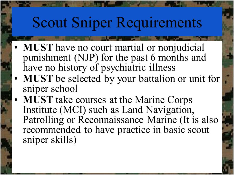 Scout Snipers in the USMC - ppt video online download