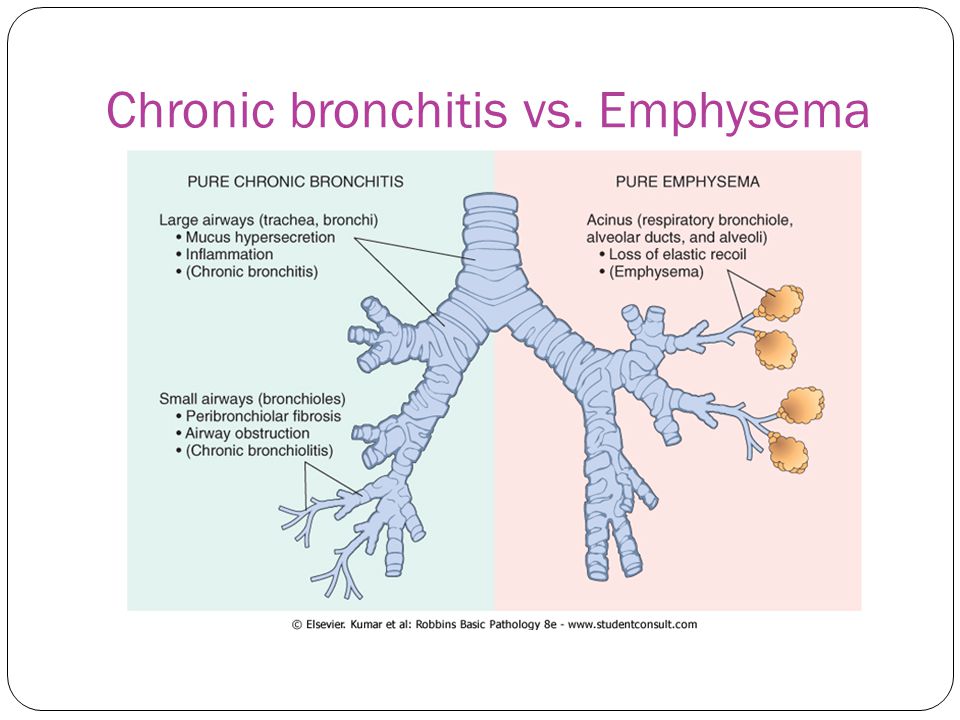 Chronic Obstructive Pulmonary Diseases (COPD) - ppt video 